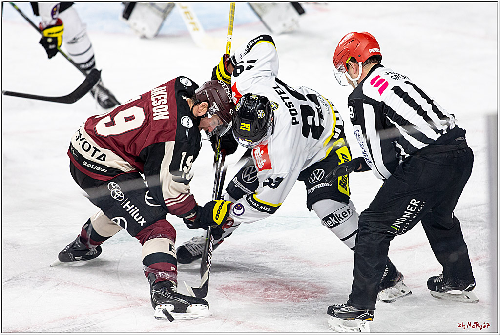 PENNY DEL;  Koelner Haie - Krefeld Pinguine; Koeln, 24.02.2021